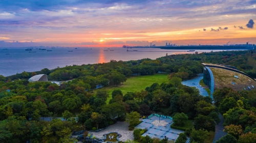 科創(chuàng)寶山 揚(yáng)帆出海拓圈，奮力尋找新流量與創(chuàng)新增長(zhǎng)極